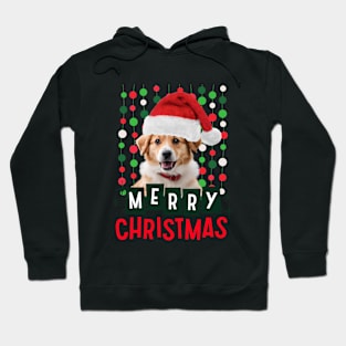 Dog Christmas Hoodie